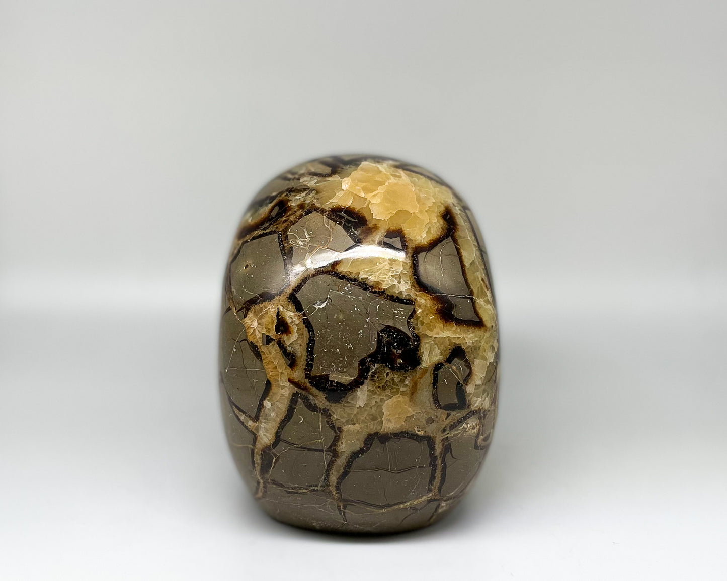 4.5 x 5.25 Inch Septarian Crystal Skull Home Décor