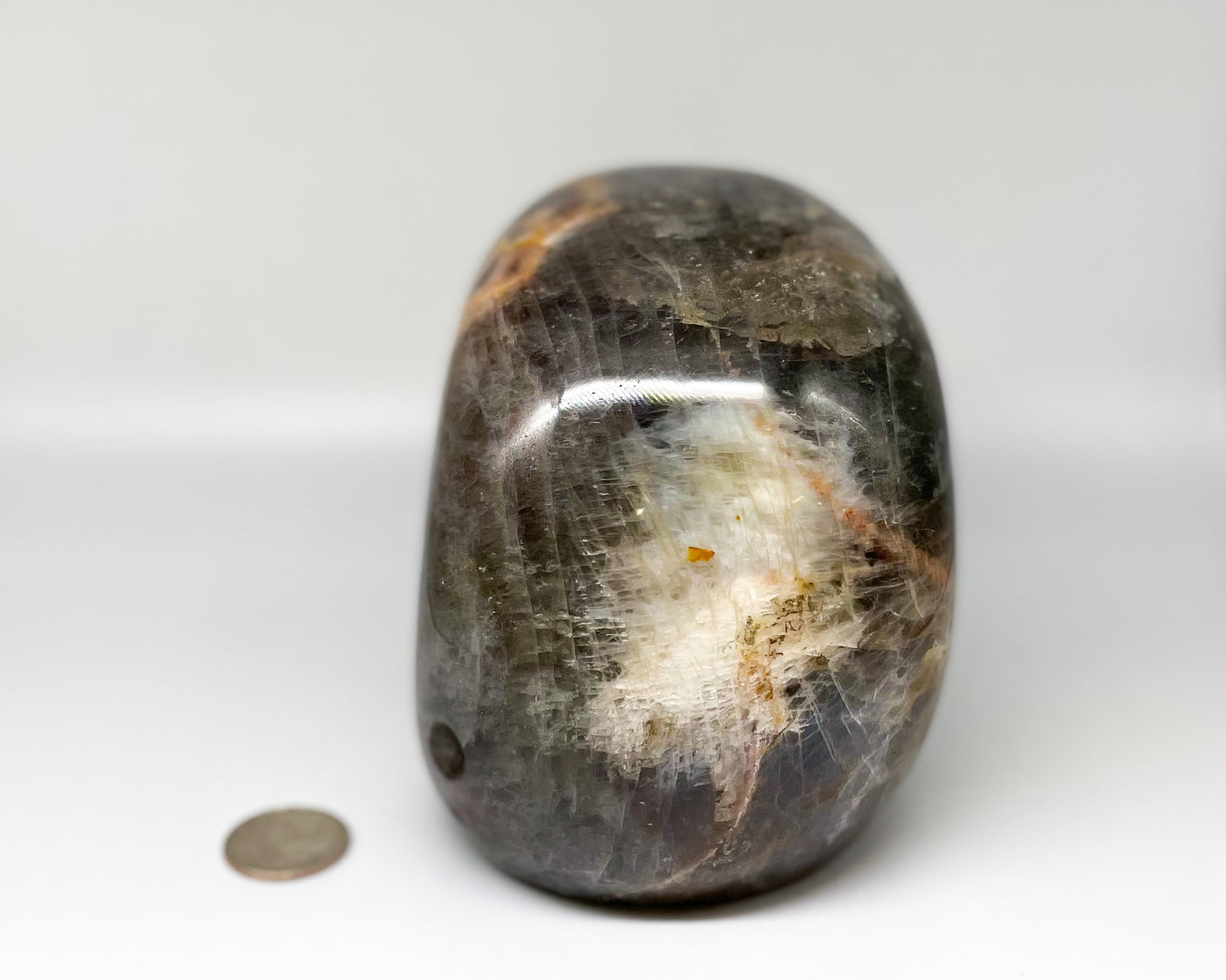 5 x 6 Inch Black Moonstone Crystal Skull Home Décor