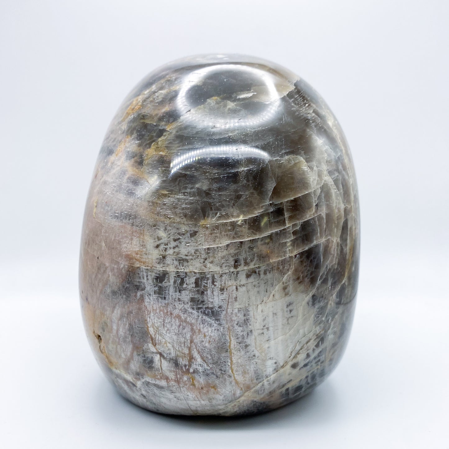 7 x 5.5 Inch Black Moonstone Crystal Skull Home Décor