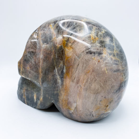 7 x 5.5 Inch Black Moonstone Crystal Skull Home Décor