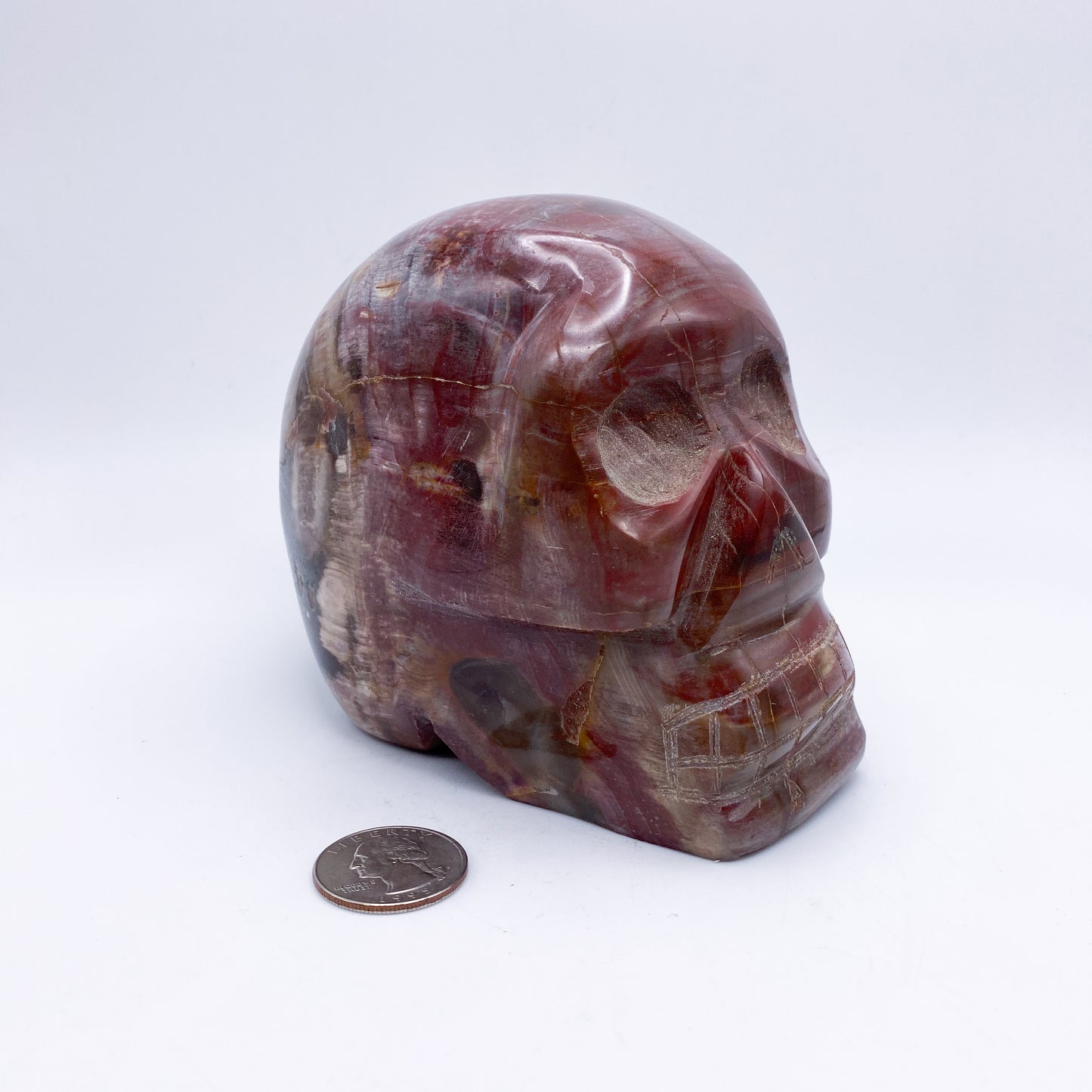 4.5 x 4.5 Inch Petrified Wood Crystal Skull Home Décor