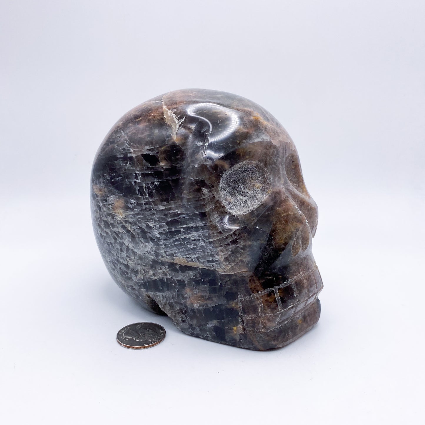 4.5 x 5 Inch Black Moonstone Crystal Skull Home Décor