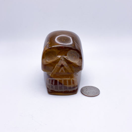 3 x 4 Inch Petrified Wood Crystal Skull Home Décor