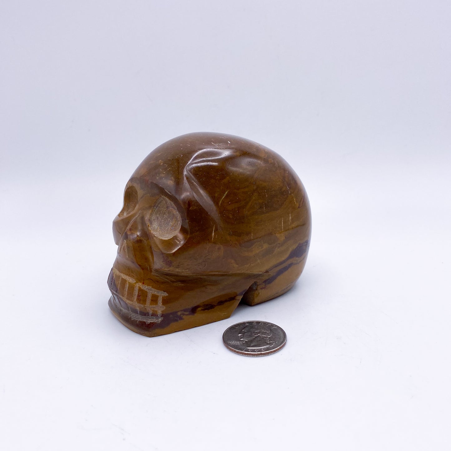 3 x 4 Inch Petrified Wood Crystal Skull Home Décor