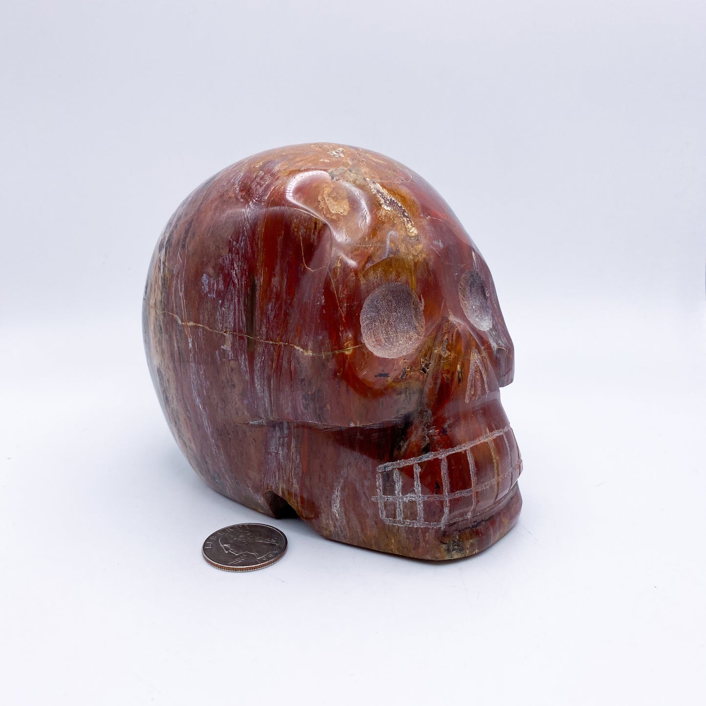 4.5 x 5 Inch Petrified Wood Crystal Skull Home Décor.