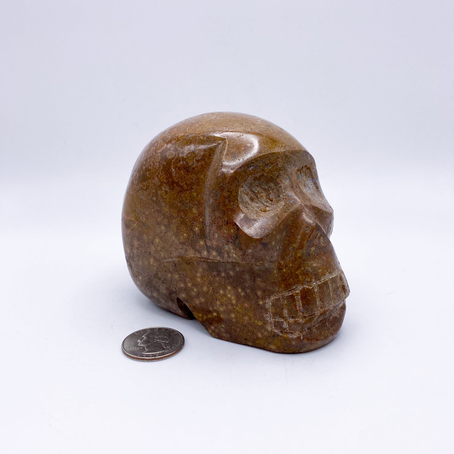 3.25 x 4.5 Inch Ocean Jasper Crystal Skull Home Décor