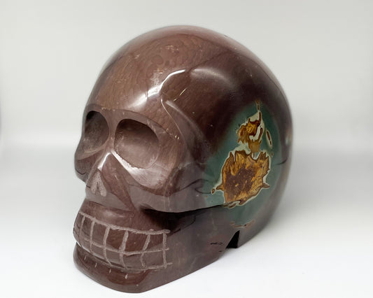 5.5 x 6.5 Inch Polychrome Jasper Crystal Skull Home Décor