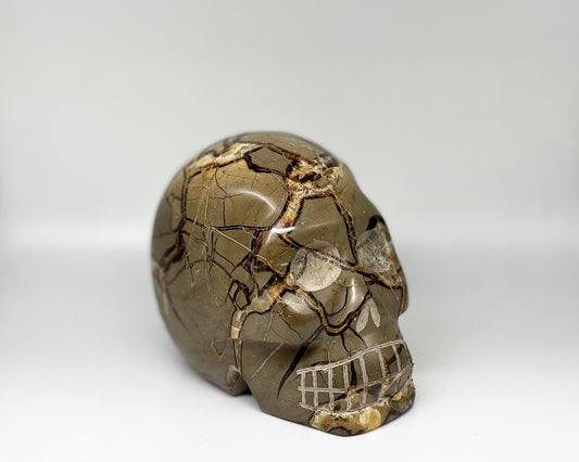 4.5 x 5.25 Inch Septarian Crystal Skull Home Décor