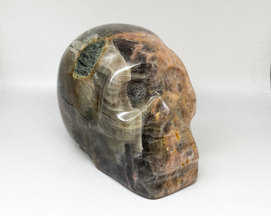 5 x 6 Inch Black Moonstone Crystal Skull Home Décor