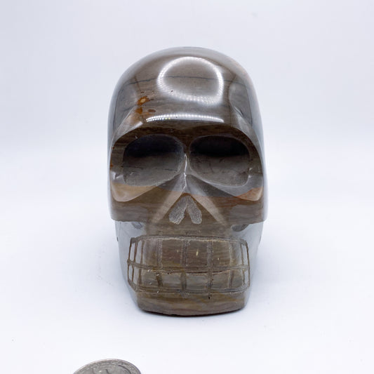 4.5 x 4.5  Inch Polychrome Jasper Crystal Skull Home Décor