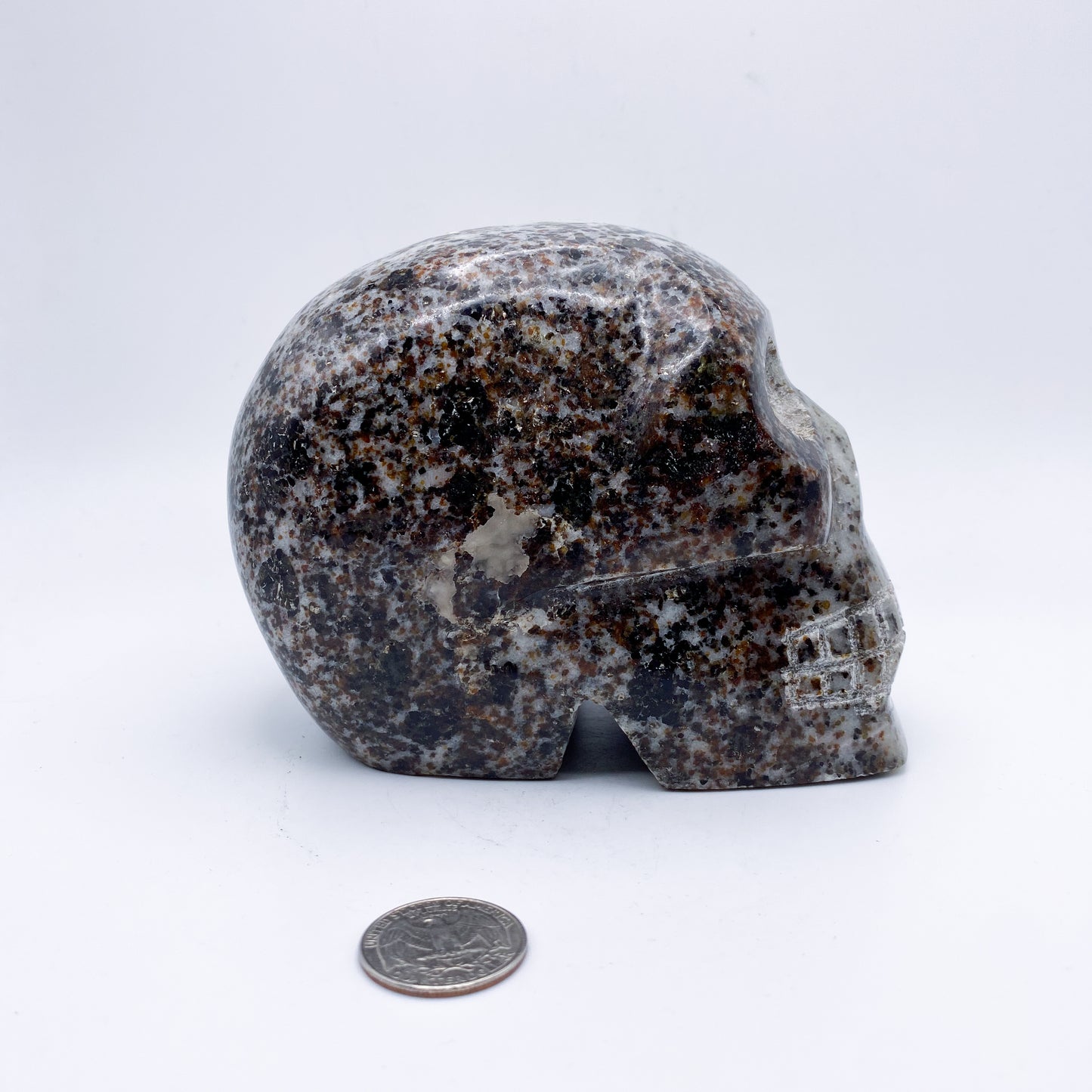 5 x 4 Inch Granite Crystal Skull Home Décor