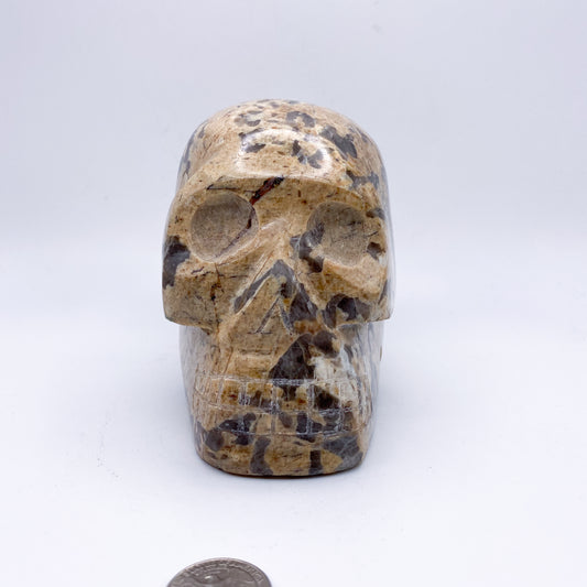 5 x 5 Inch Zebra Jasper Crystal Skull Home Décor
