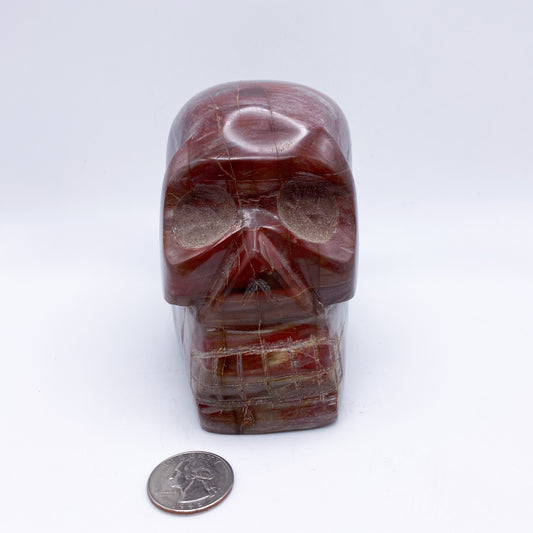 4.5 x 4.5 Inch Petrified Wood Crystal Skull Home Décor