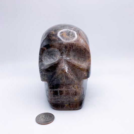4.5 x 5 Inch Black Moonstone Crystal Skull Home Décor