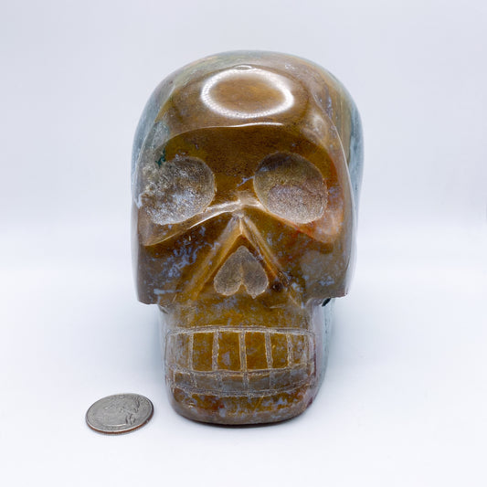 5.5 x 6 Inch Ocean Jasper Crystal Skull Home Décor
