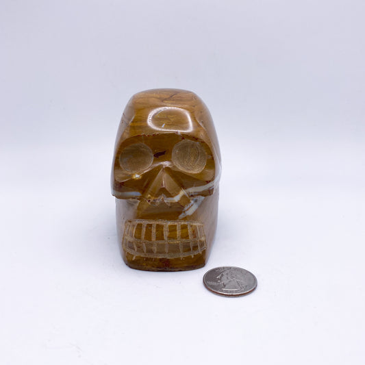 3.5 x 4 Inch Petrified Wood Crystal Skull Home Décor