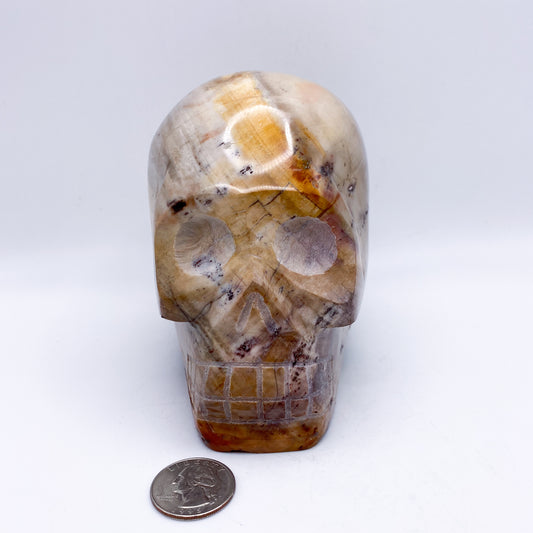 4.5 x 5 Inch Petrified Wood Crystal Skull Home Décor.