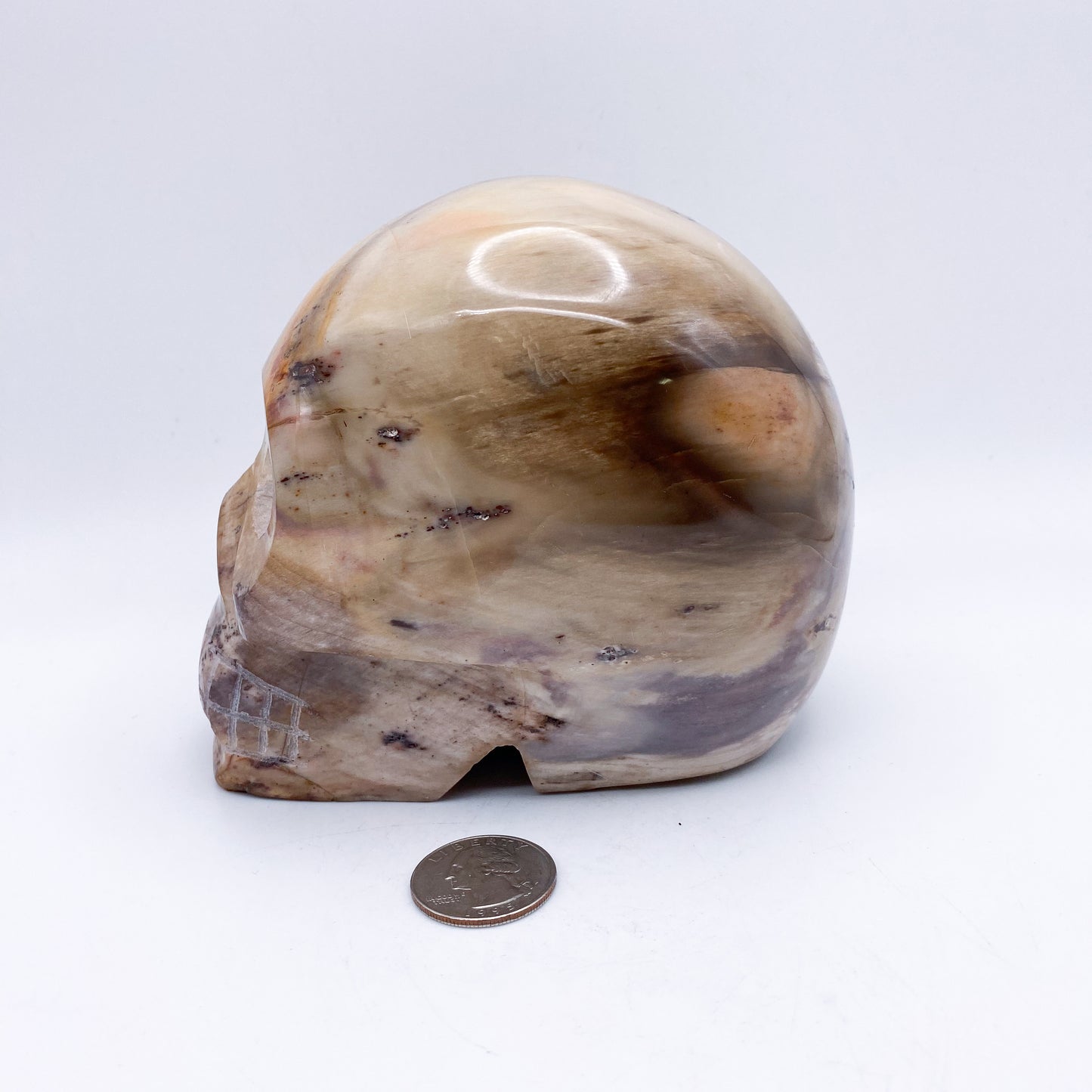 4.5 x 5 Inch Petrified Wood Crystal Skull Home Décor.