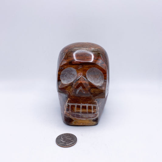 4 x 5 Inch Petrified Wood Crystal Skull Home Décor.