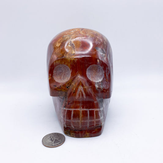 4.5 x 5 Inch Petrified Wood Crystal Skull Home Décor.