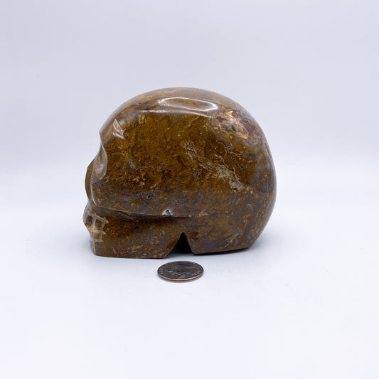 4 x 4.5 Inch Petrified Wood Crystal Skull Home Décor.